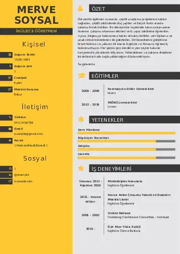 Yabancı Dil Öğretmeni Cv Örnekleri cv indir